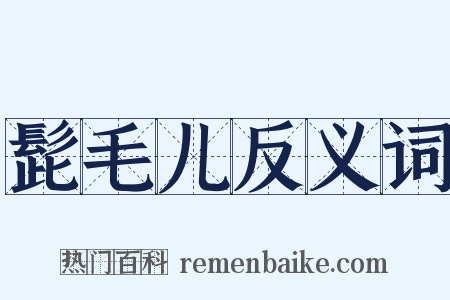 髭毛儿反义词是什么意思的图片